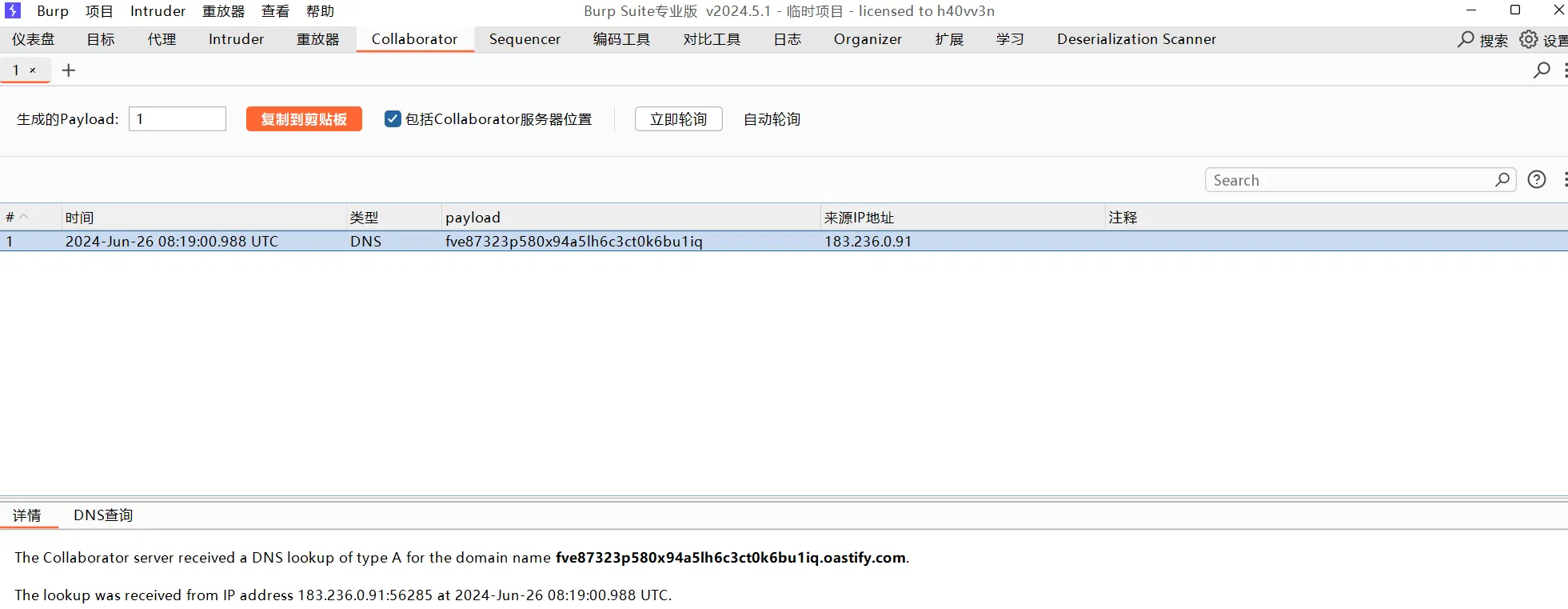 image-20240626223710326